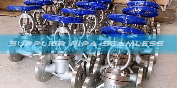 Globe Valve